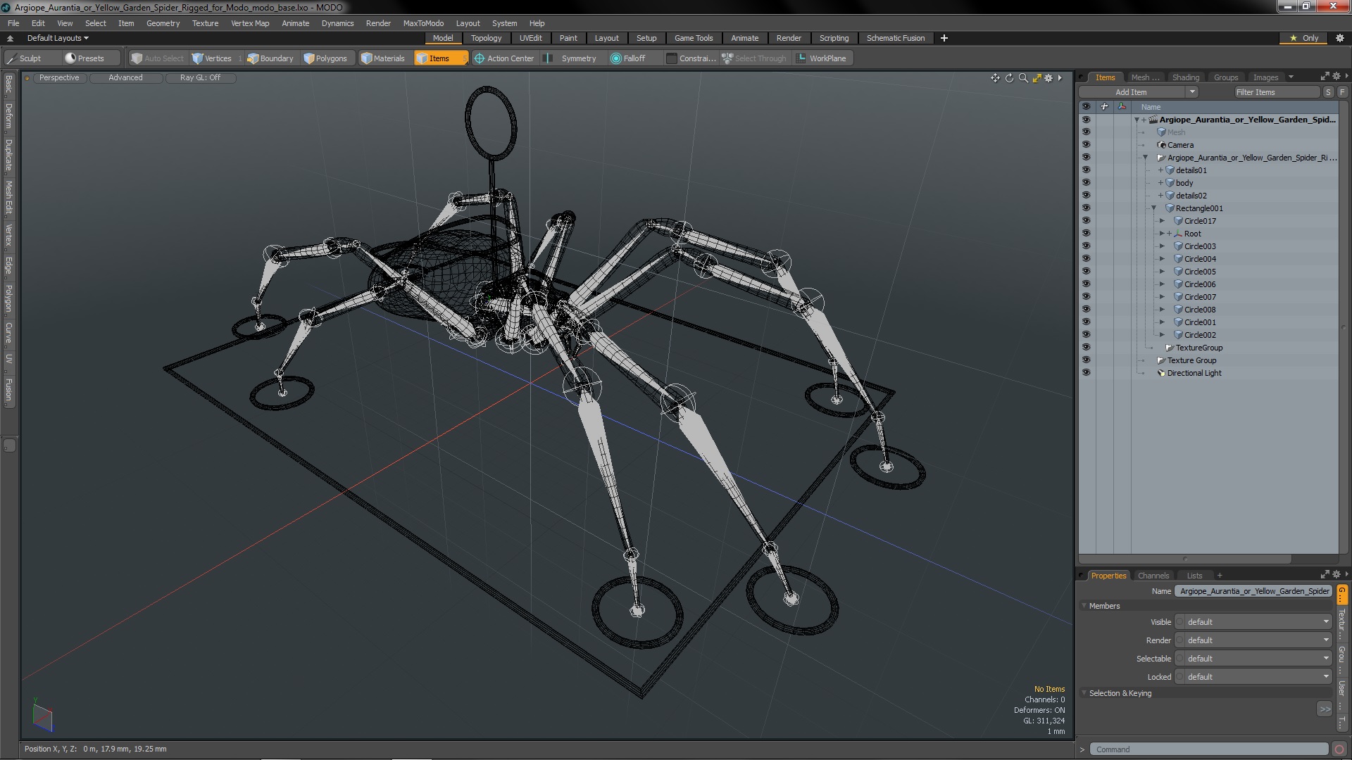 3D Argiope Aurantia or Yellow Garden Spider Rigged for Modo