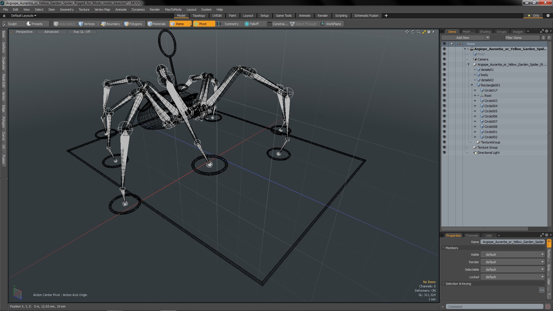 3D Argiope Aurantia or Yellow Garden Spider Rigged for Modo