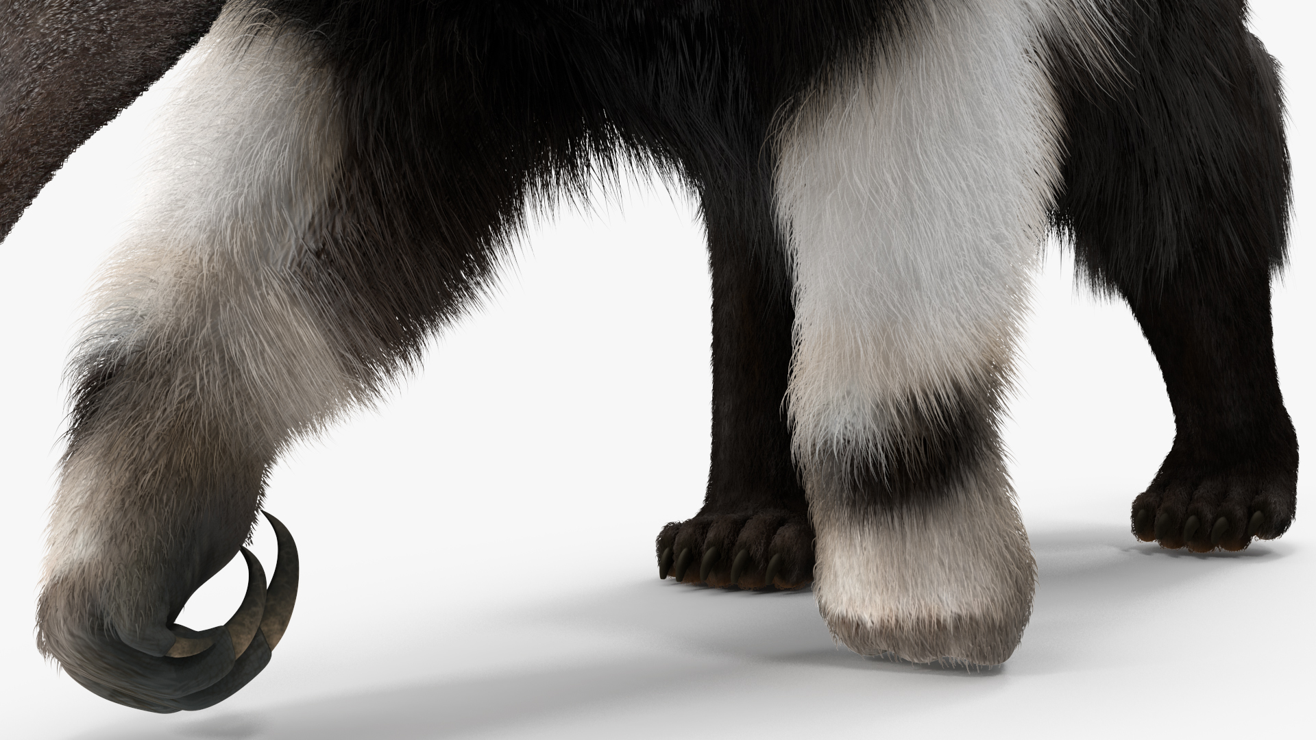 3D model Anteater Walking Pose Fur