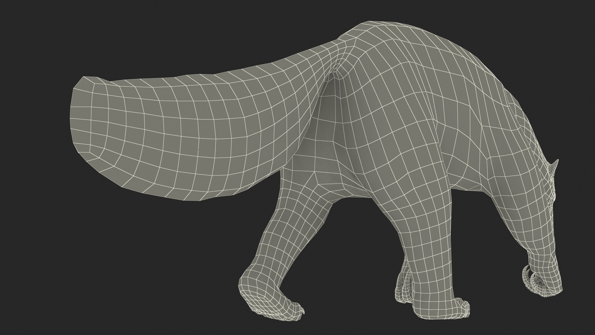3D model Anteater Walking Pose Fur