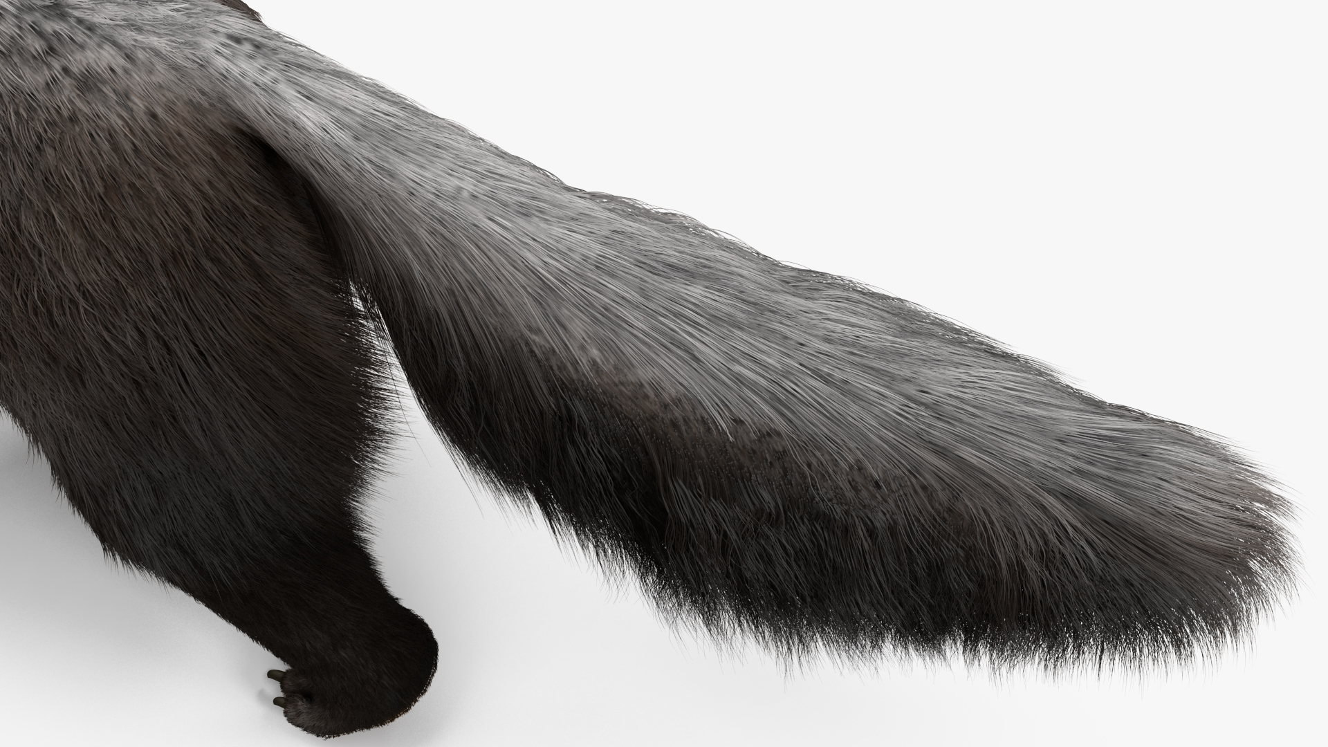 3D model Anteater Walking Pose Fur