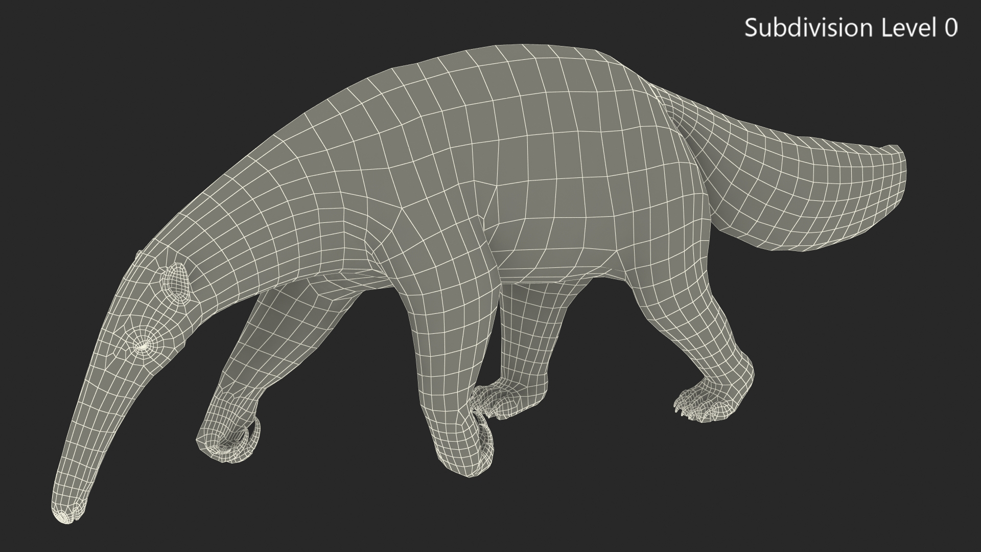 3D model Anteater Walking Pose Fur