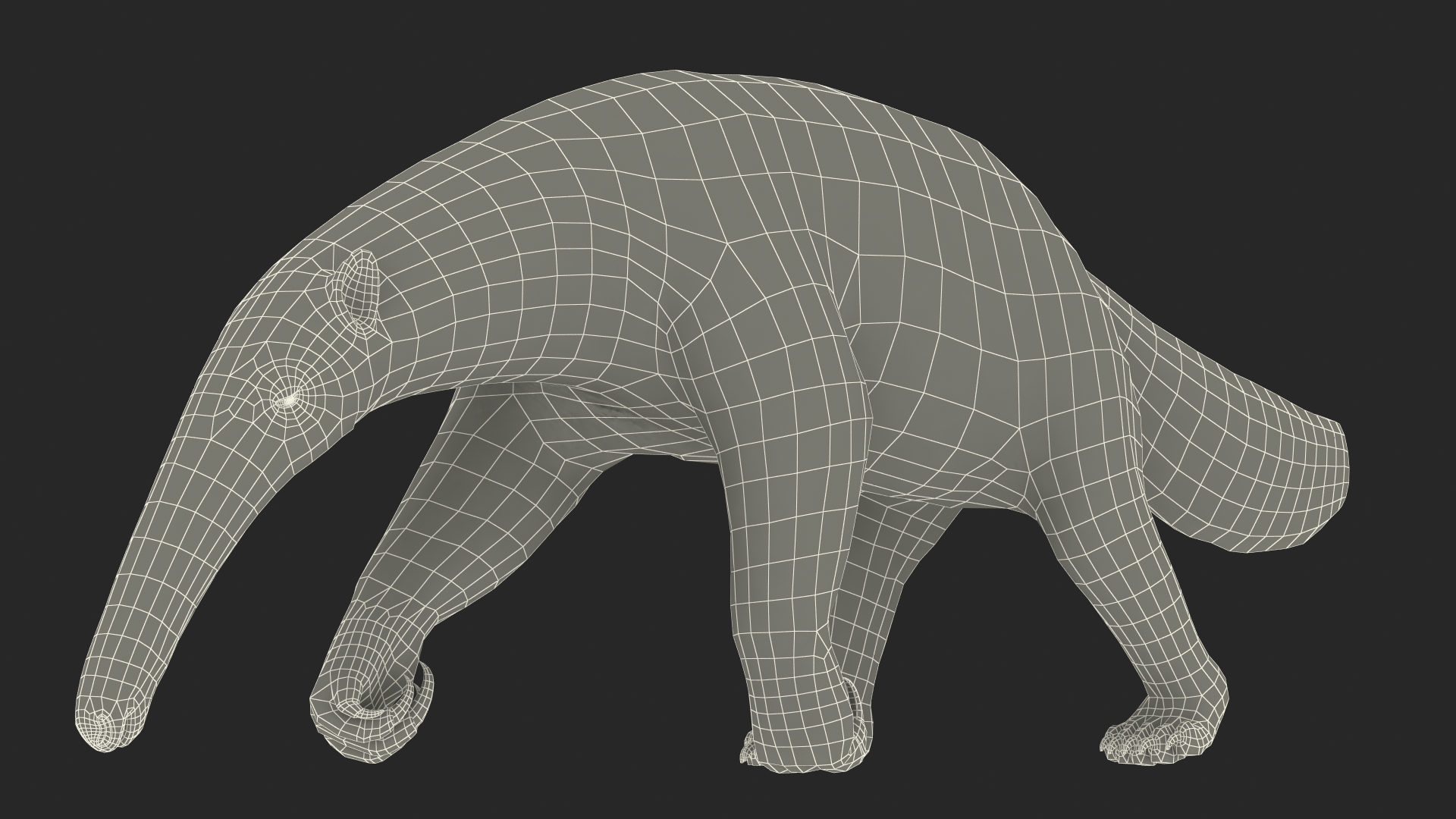 3D model Anteater Walking Pose Fur