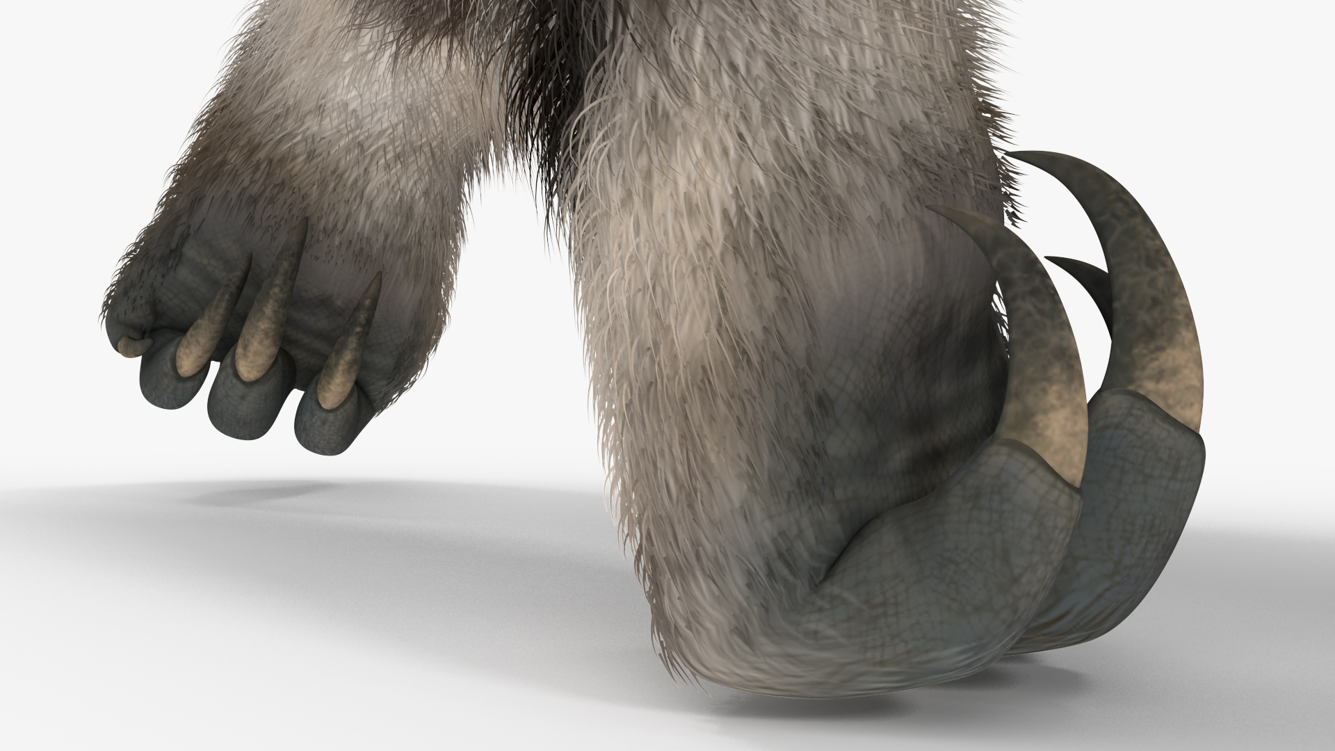 3D model Anteater Walking Pose Fur