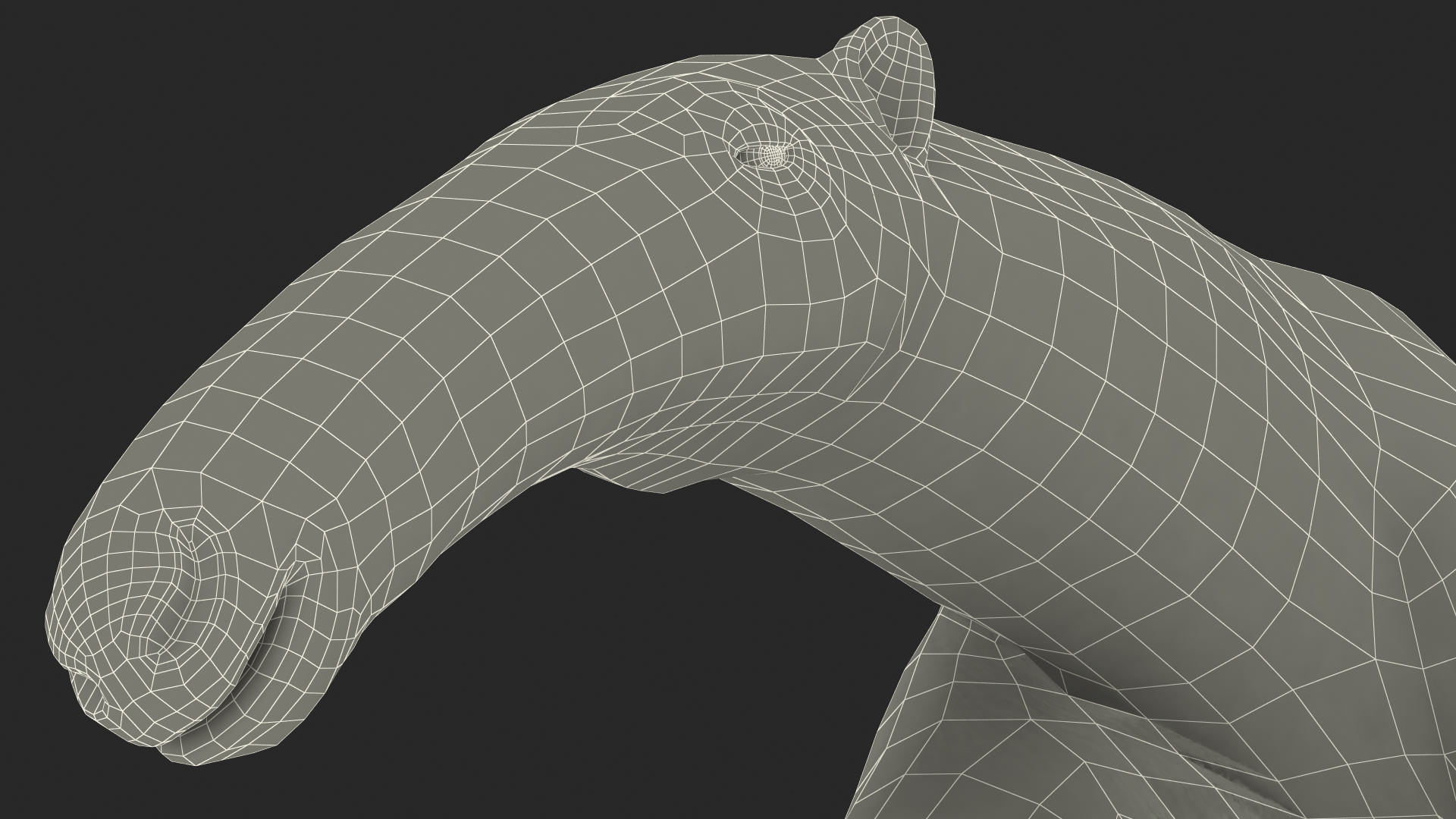 3D model Anteater Walking Pose Fur