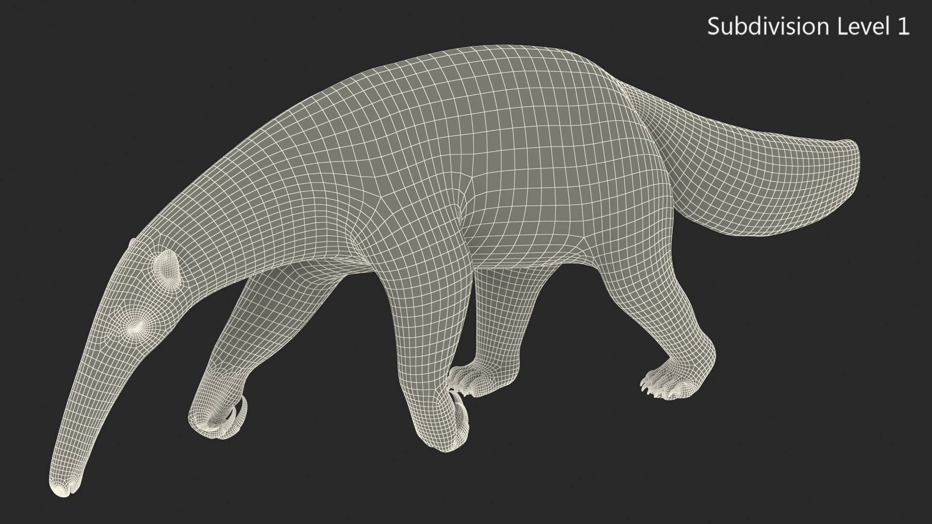 3D model Anteater Walking Pose Fur