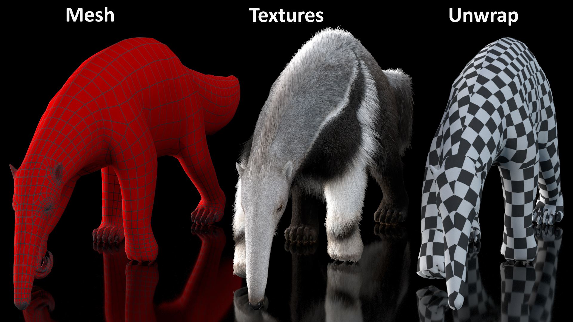 3D model Anteater Walking Pose Fur
