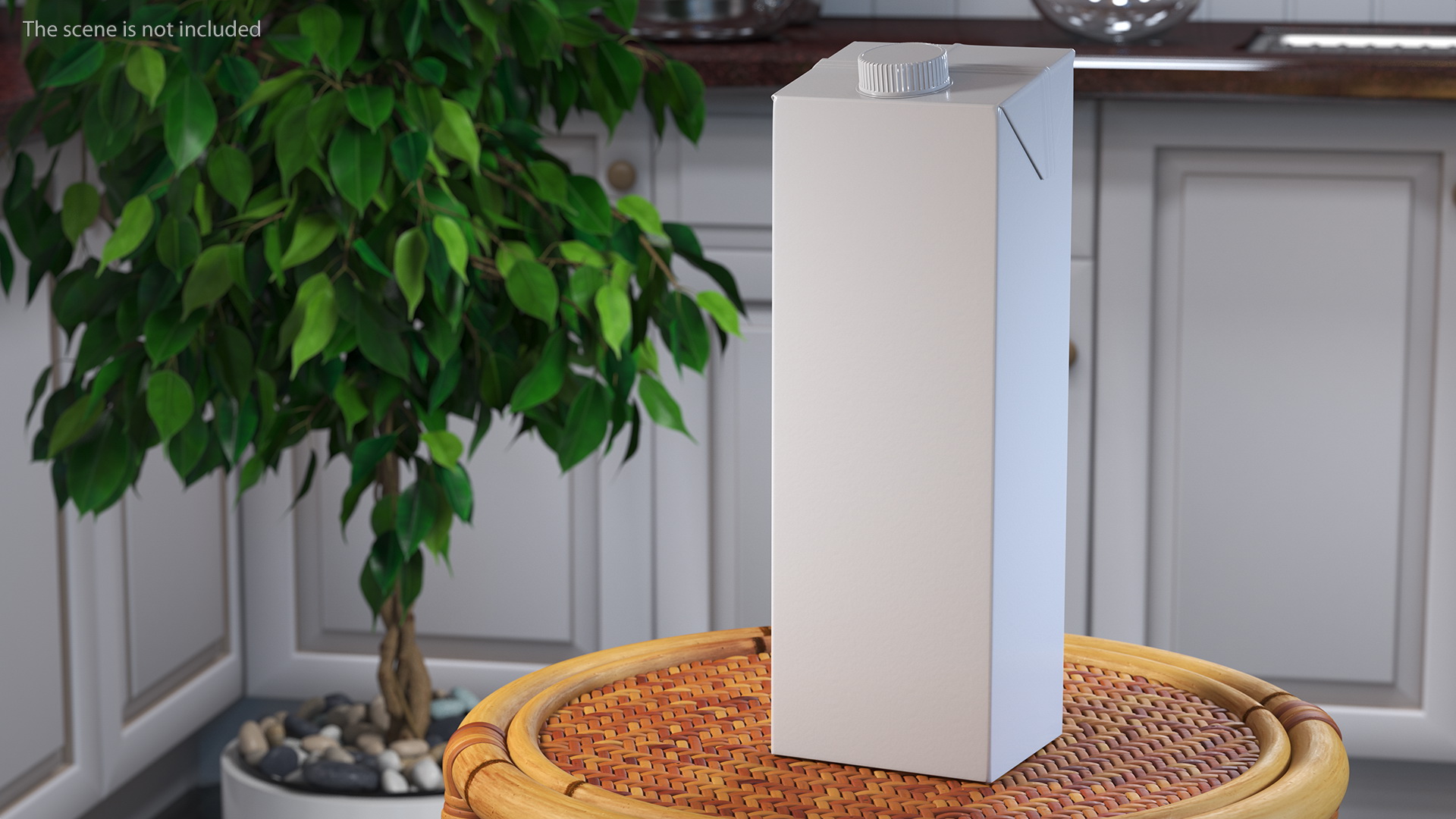 Aseptic Carton Package with Screw Cap 3D