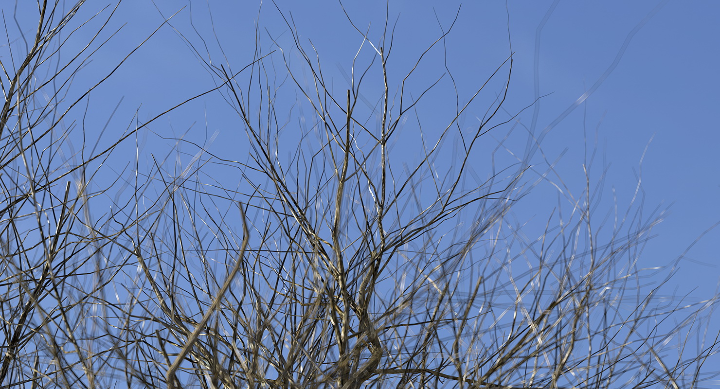 3D model Old Winter Tree