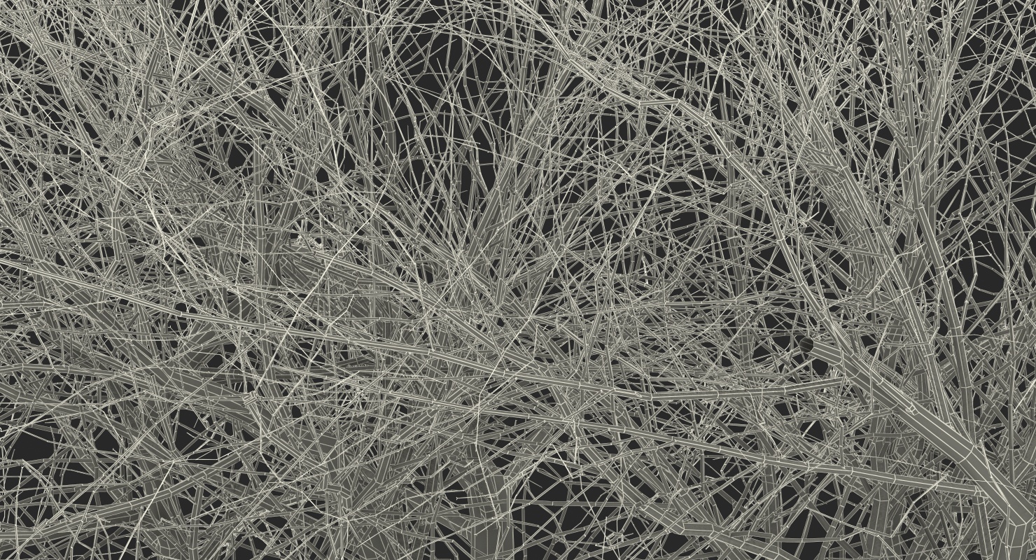 3D model Old Winter Tree
