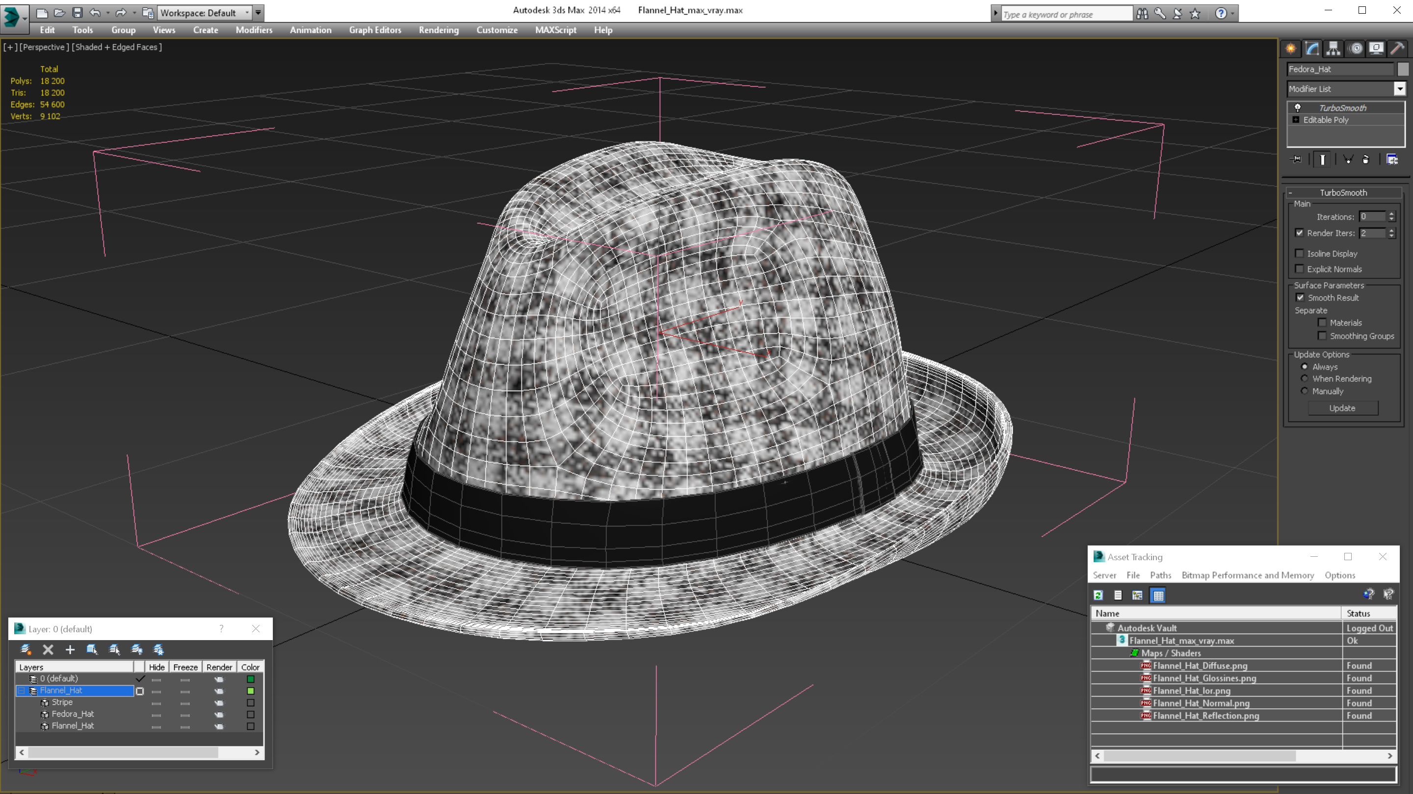 3D Flannel Hat