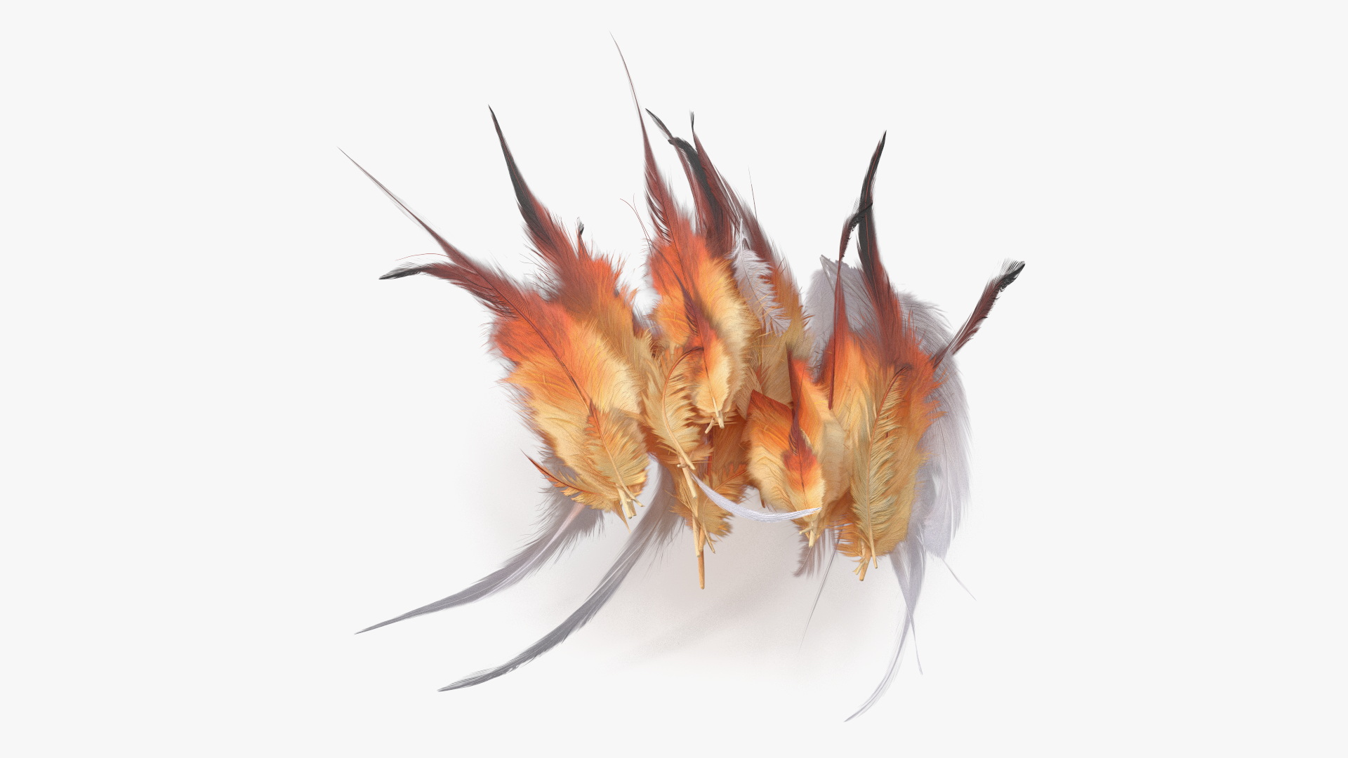 Natural Color Feathers 3D