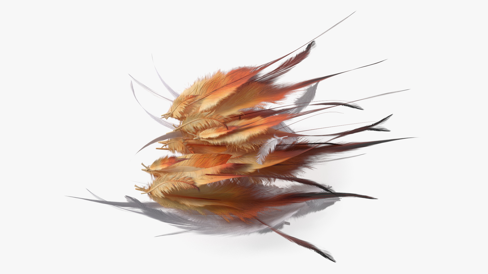 Natural Color Feathers 3D