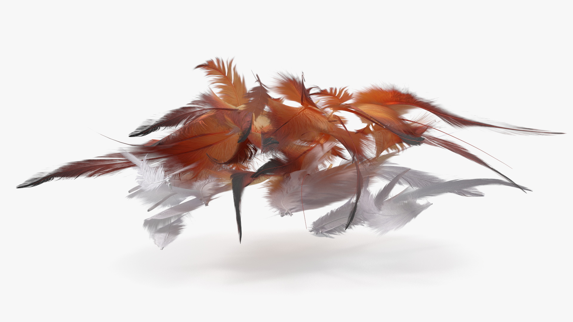 Natural Color Feathers 3D