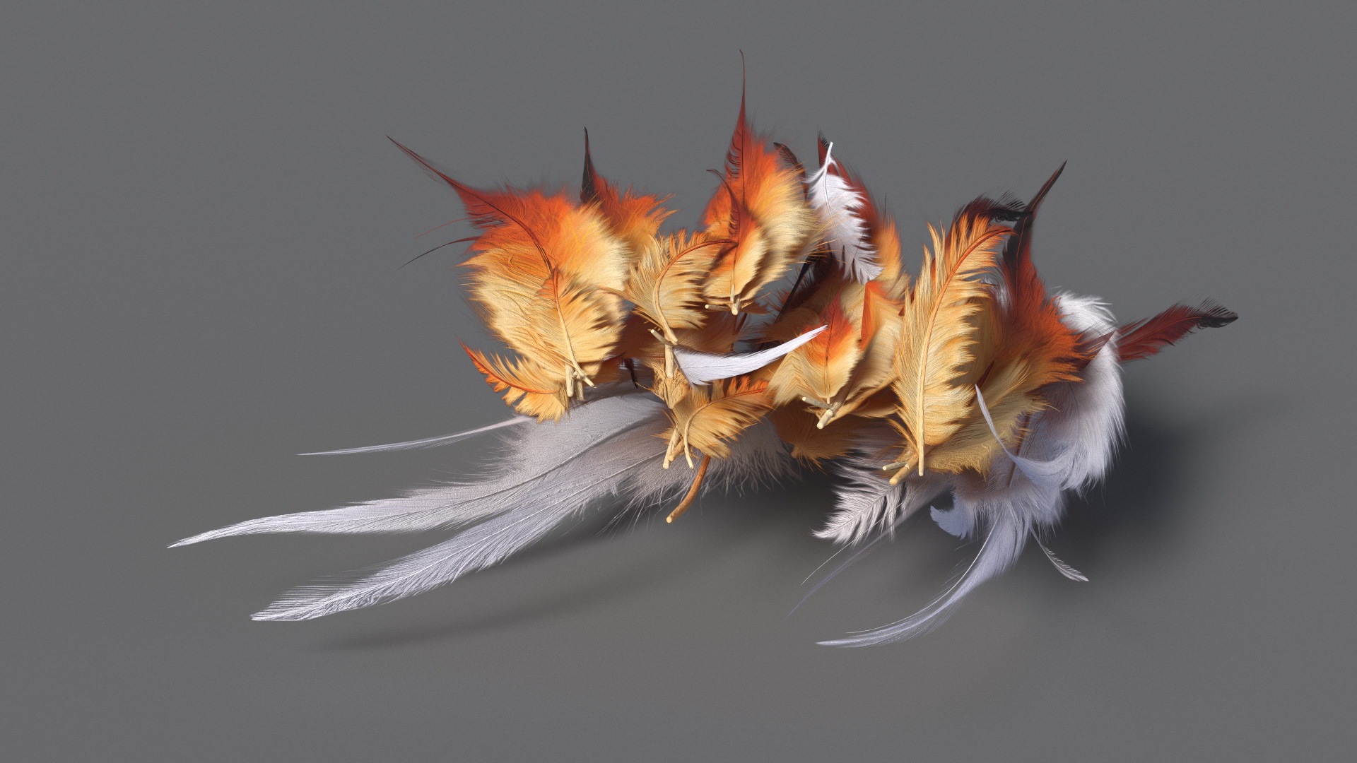 Natural Color Feathers 3D