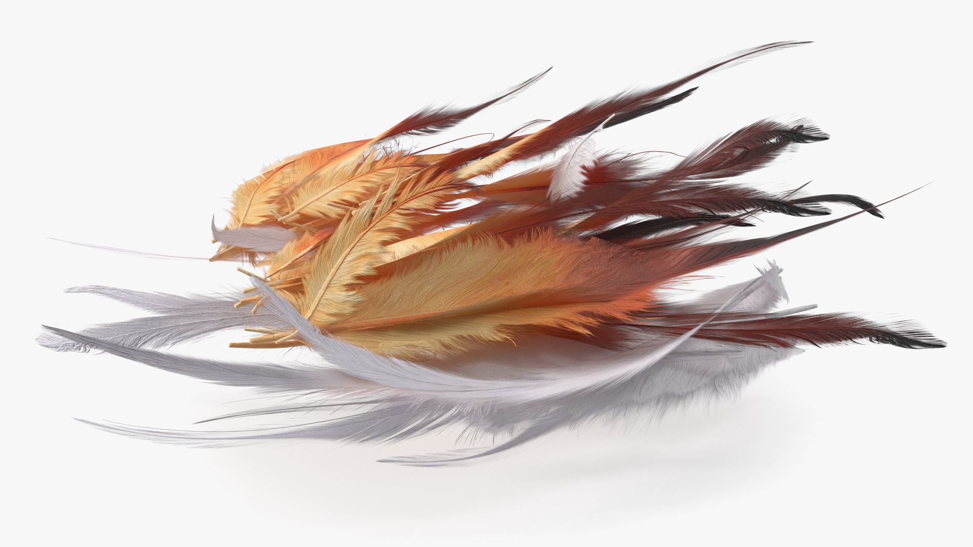 Natural Color Feathers 3D