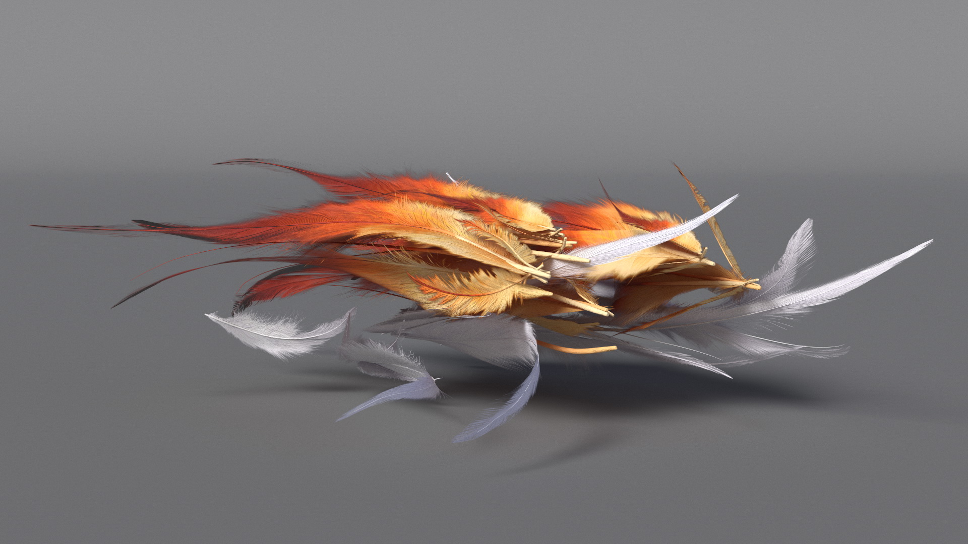 Natural Color Feathers 3D