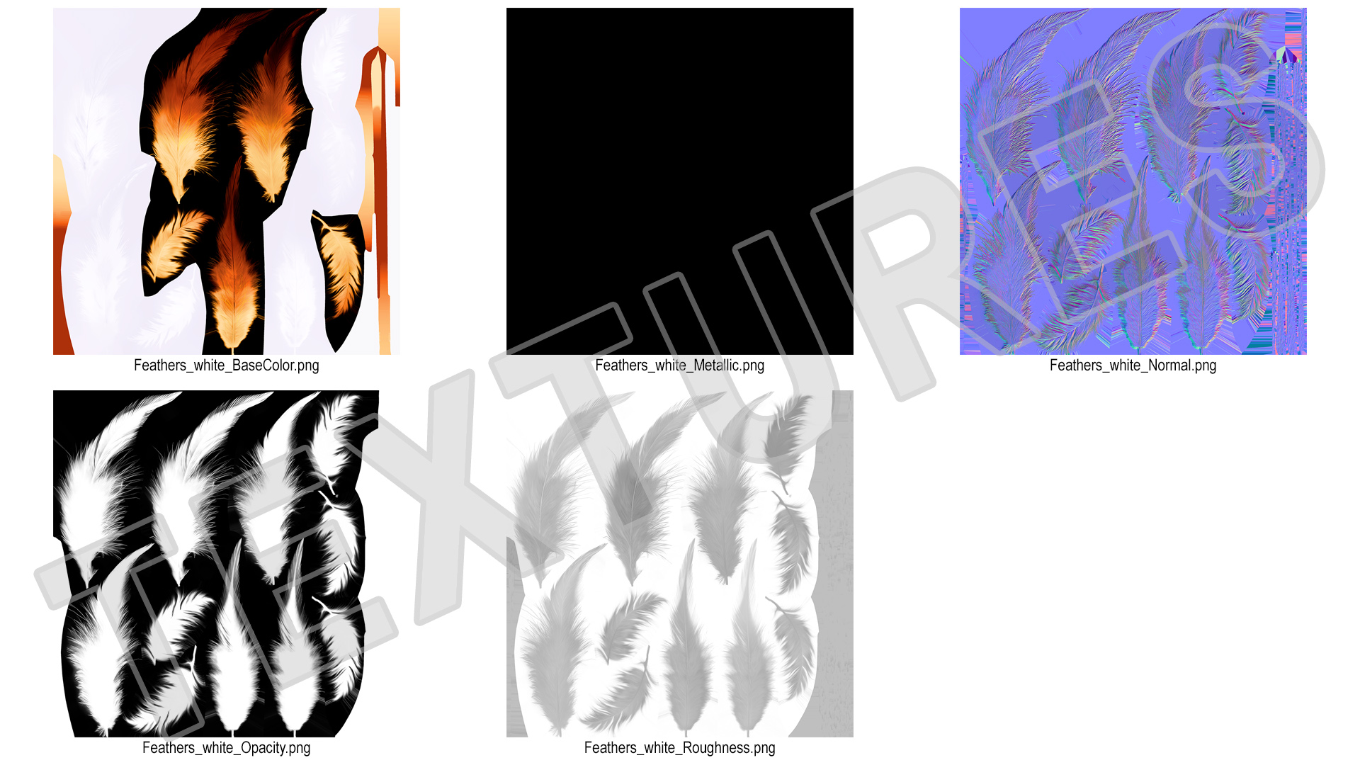 Natural Color Feathers 3D