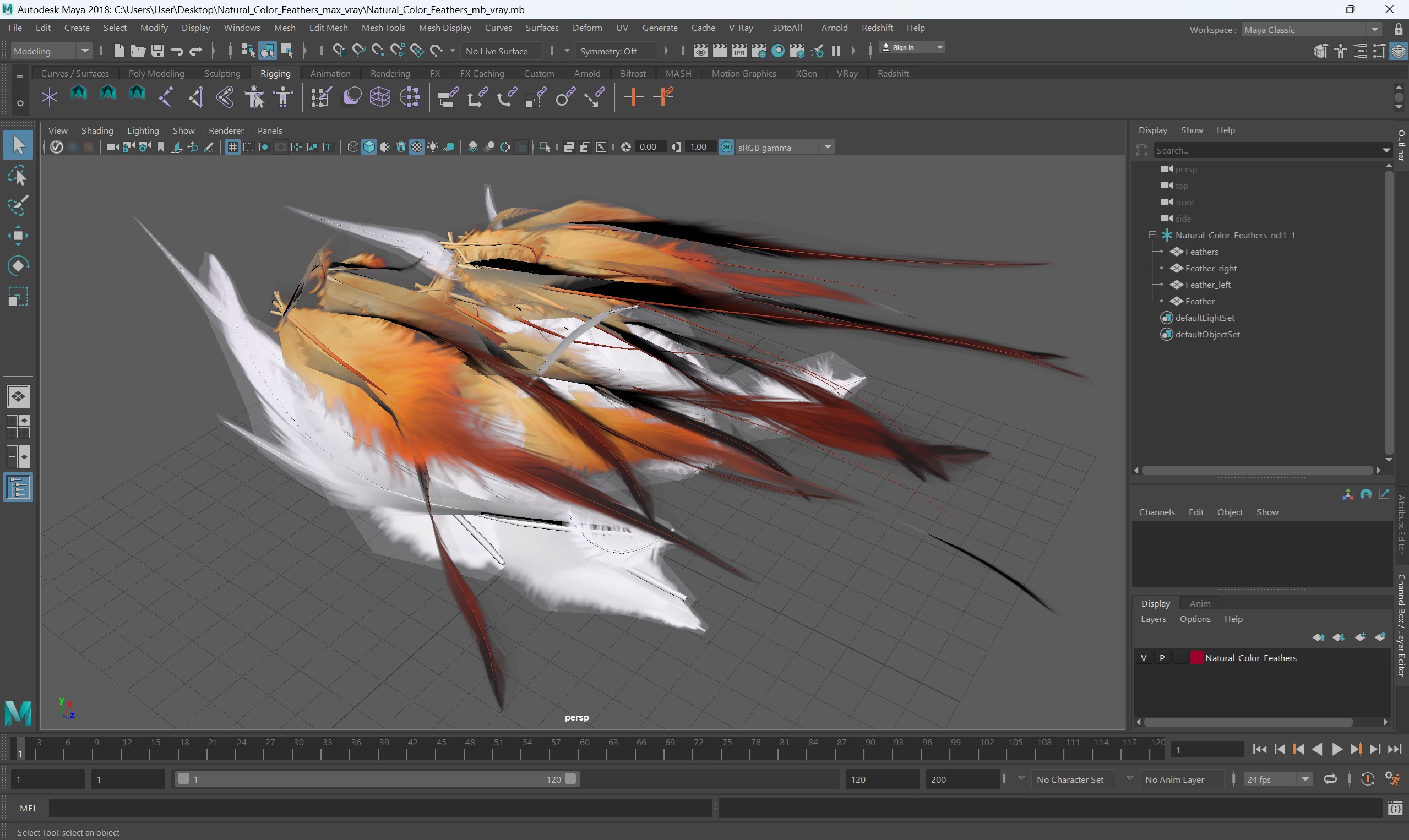 Natural Color Feathers 3D