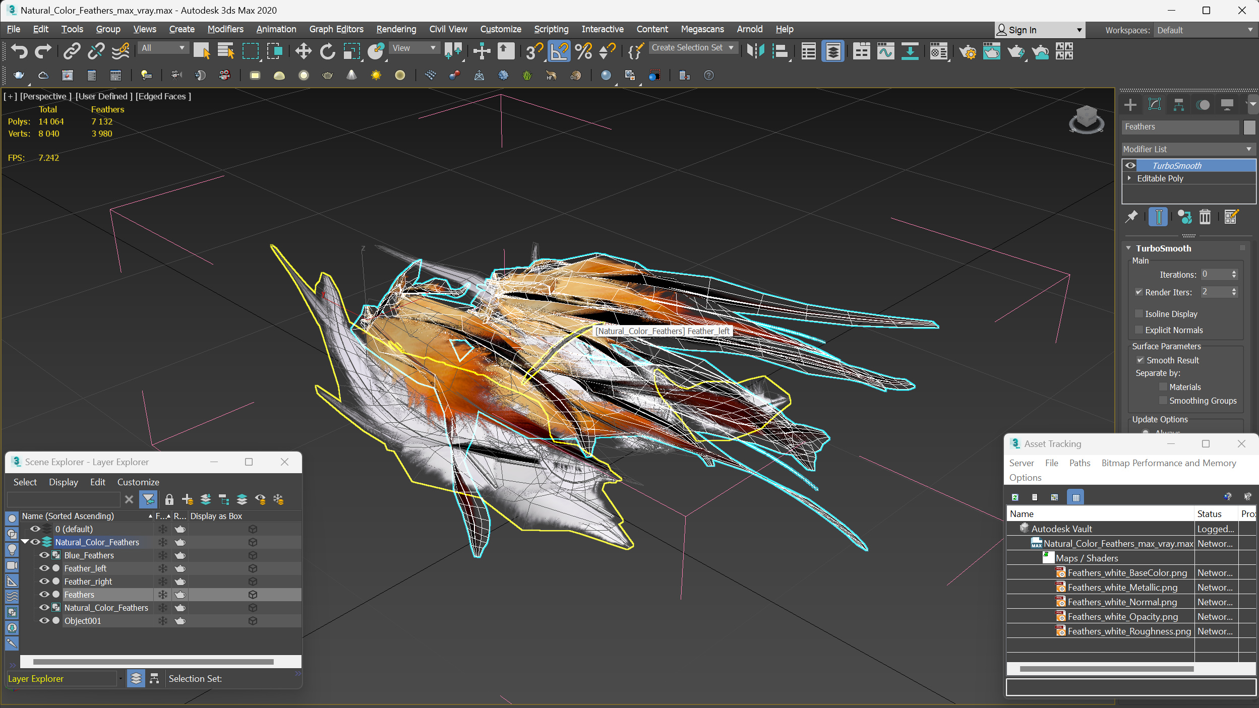 Natural Color Feathers 3D