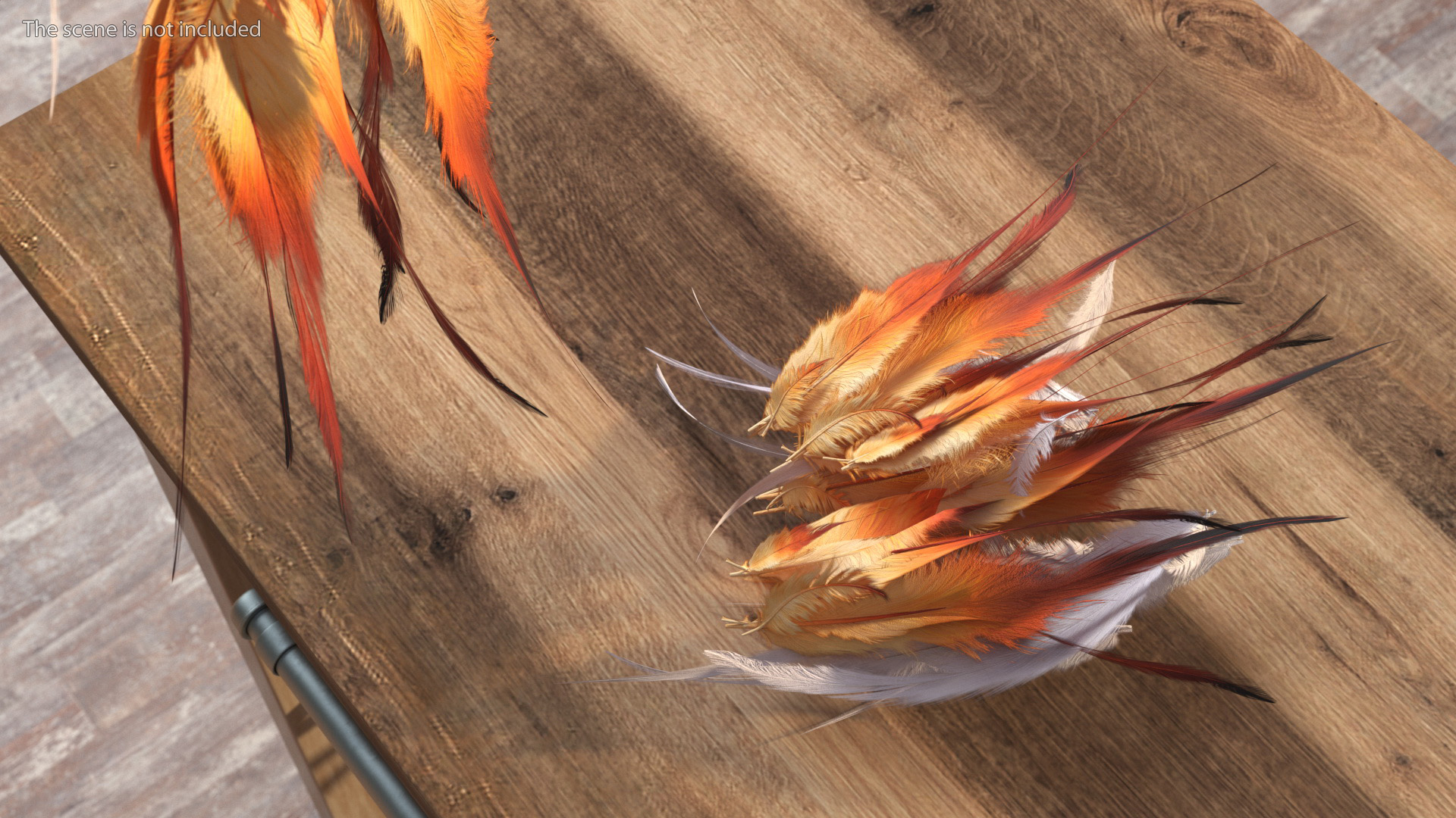 Natural Color Feathers 3D