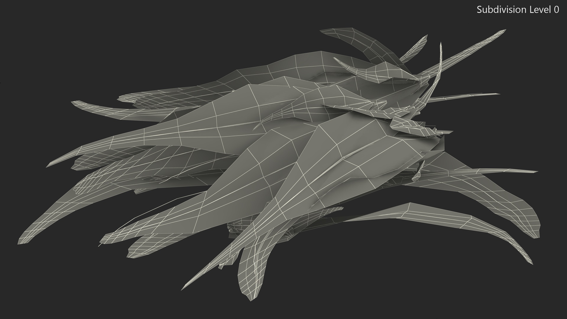 Natural Color Feathers 3D