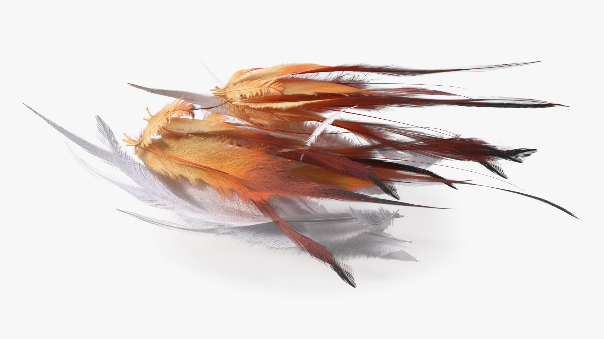 Natural Color Feathers 3D