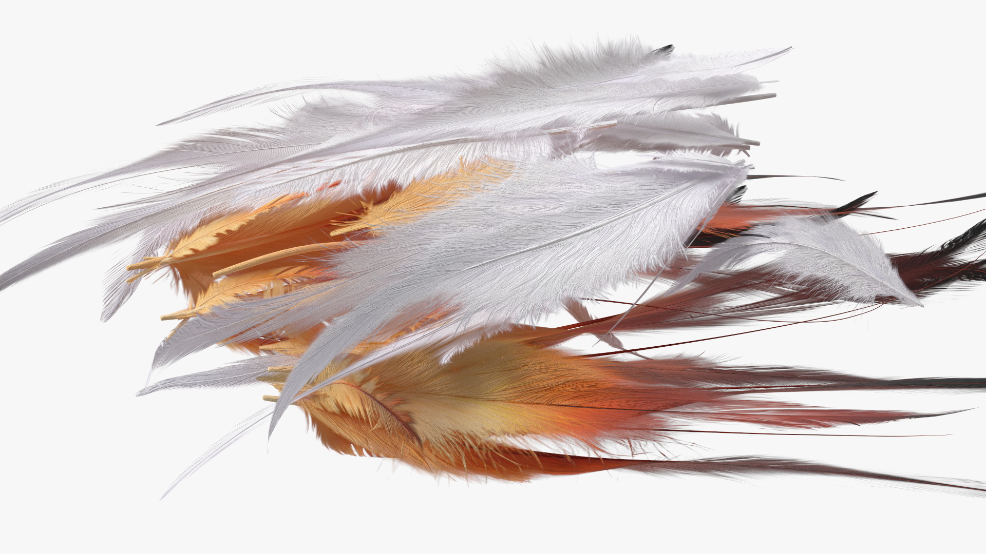 Natural Color Feathers 3D