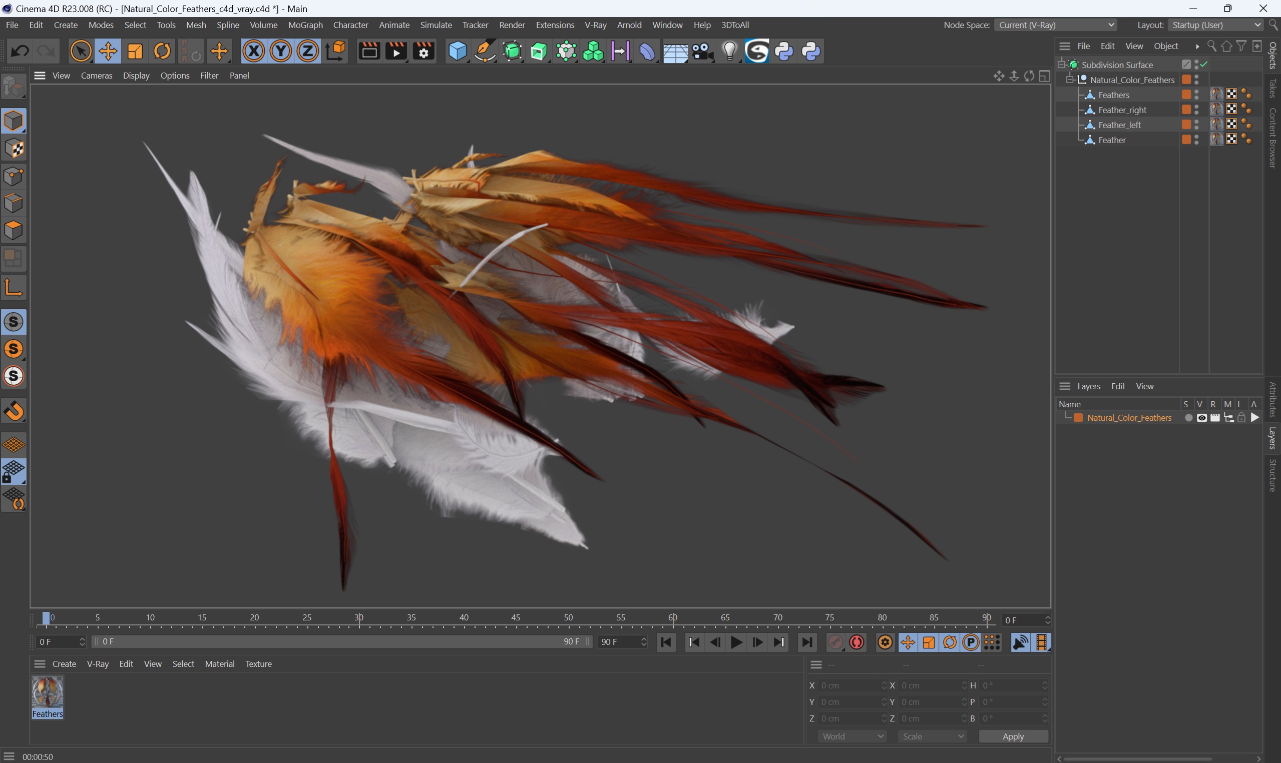 Natural Color Feathers 3D