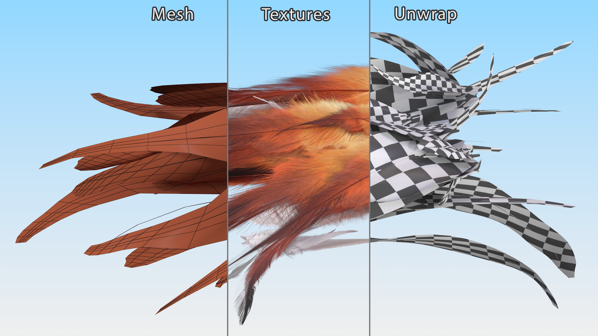 Natural Color Feathers 3D