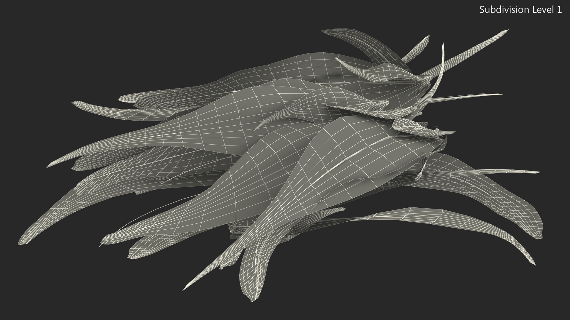 Natural Color Feathers 3D