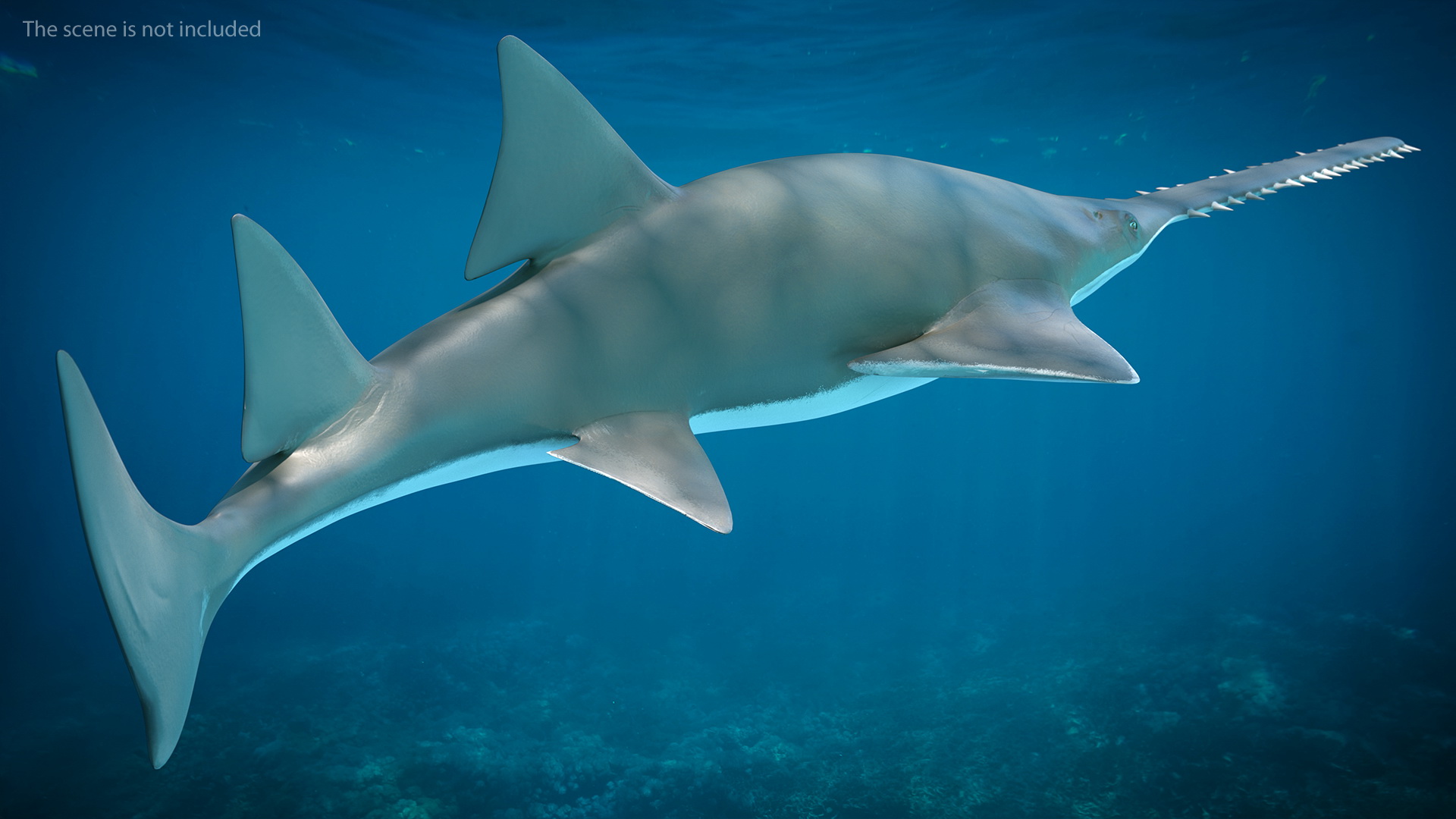 3D Sawfish Swimming Pose