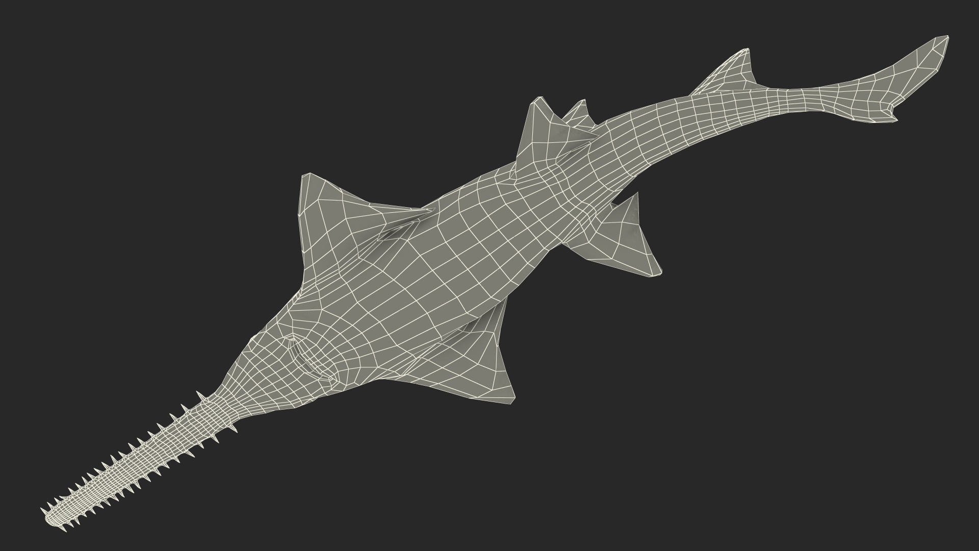 3D Sawfish Swimming Pose