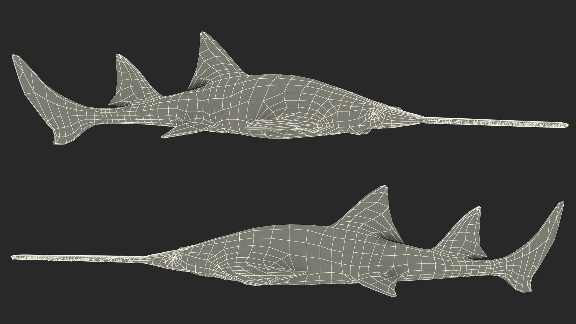 3D Sawfish Swimming Pose