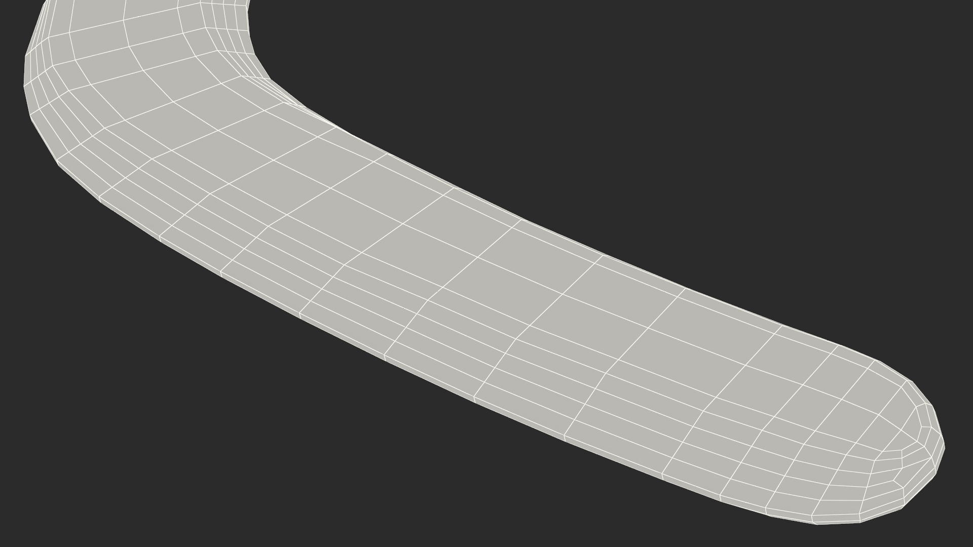 Ethno Turtle Wooden Boomerang 3D model