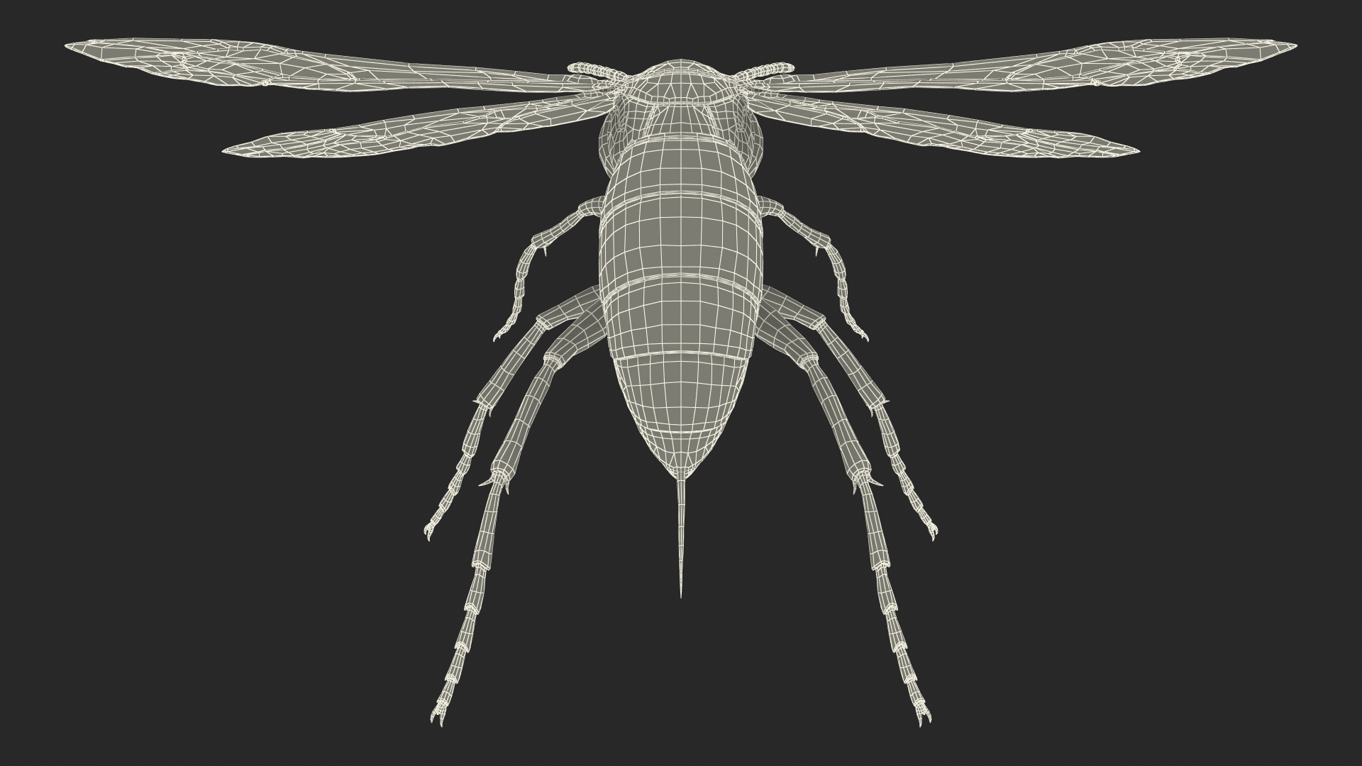 Paper Wasp Rigged 3D