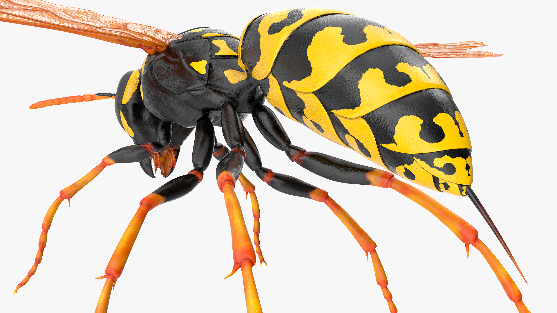 Paper Wasp Rigged 3D