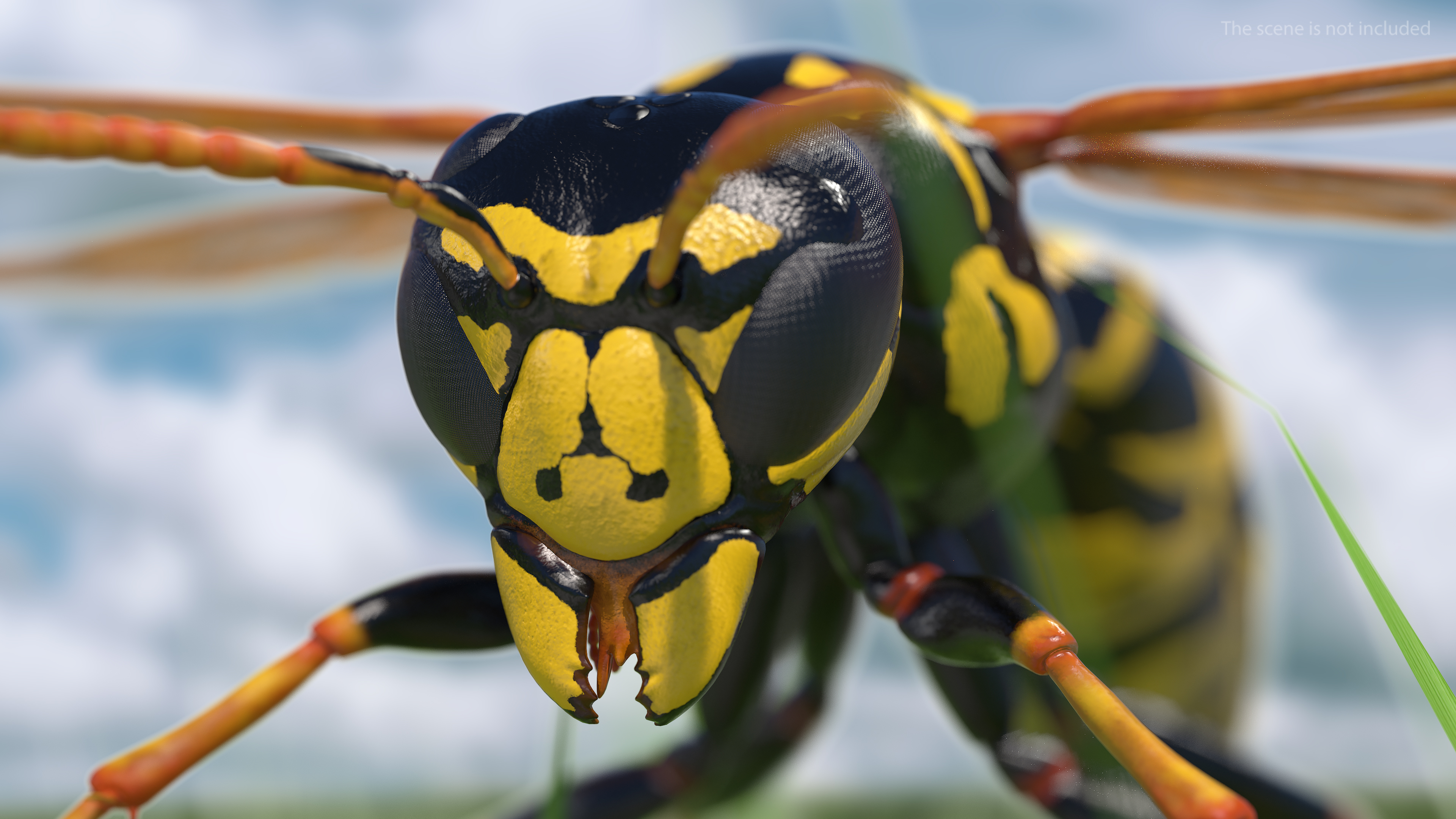 Paper Wasp Rigged 3D