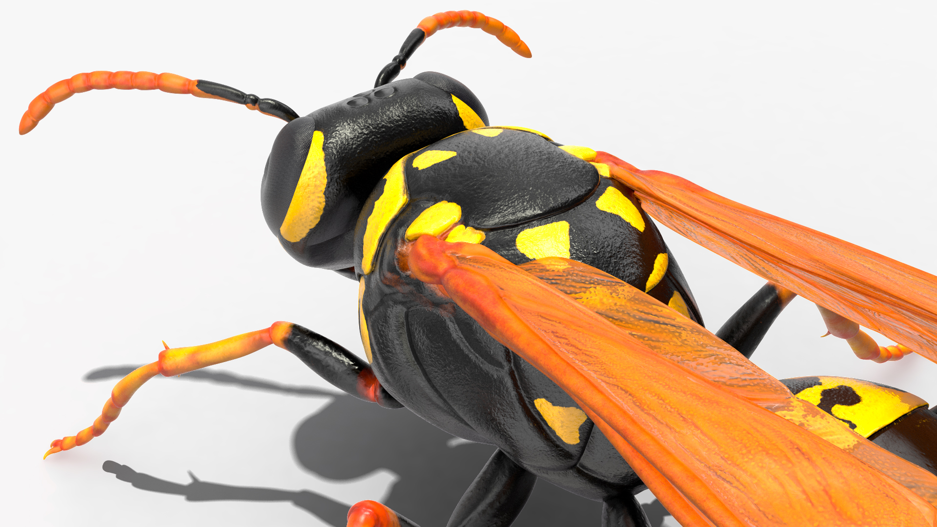 Paper Wasp Rigged 3D