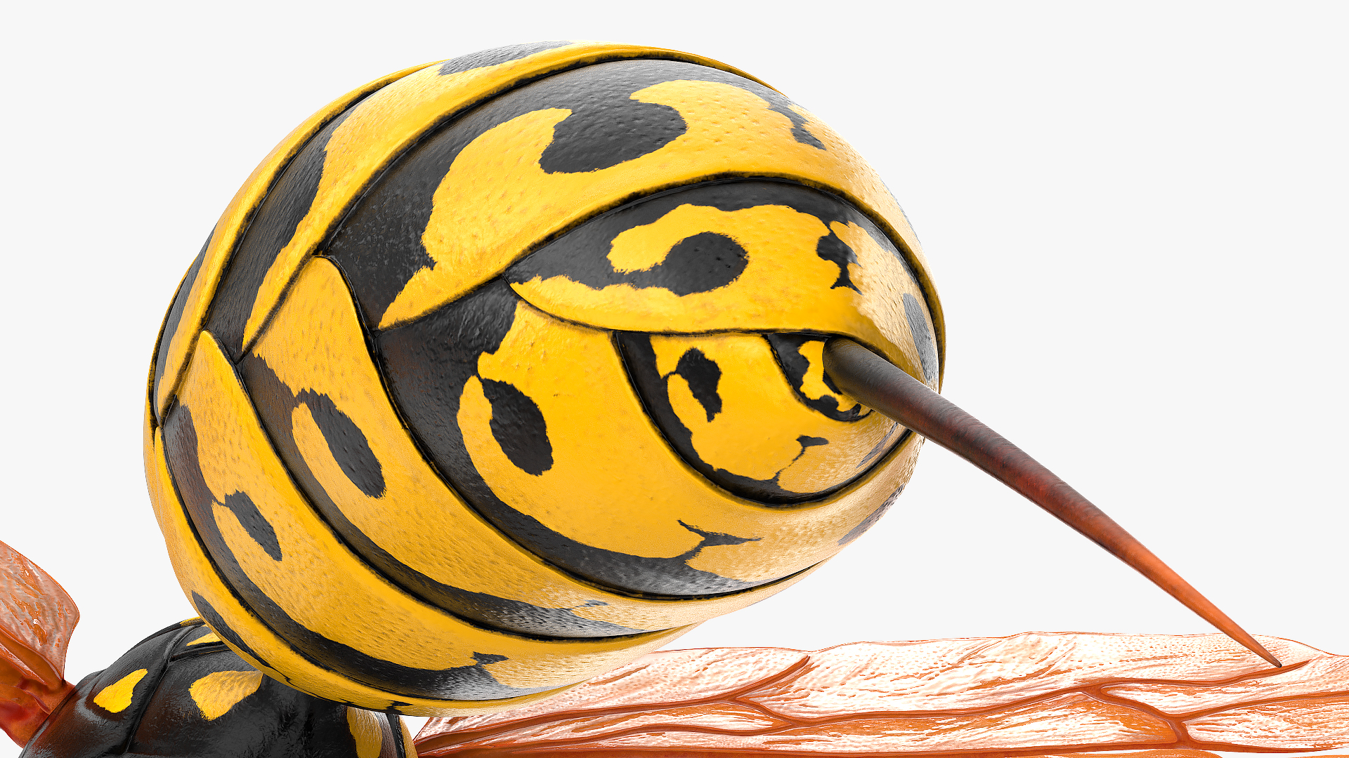 Paper Wasp Rigged 3D