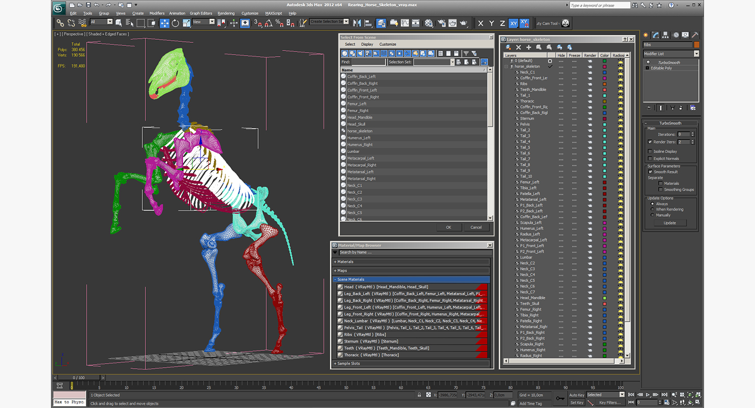 Rearing Horse Skeleton 3D