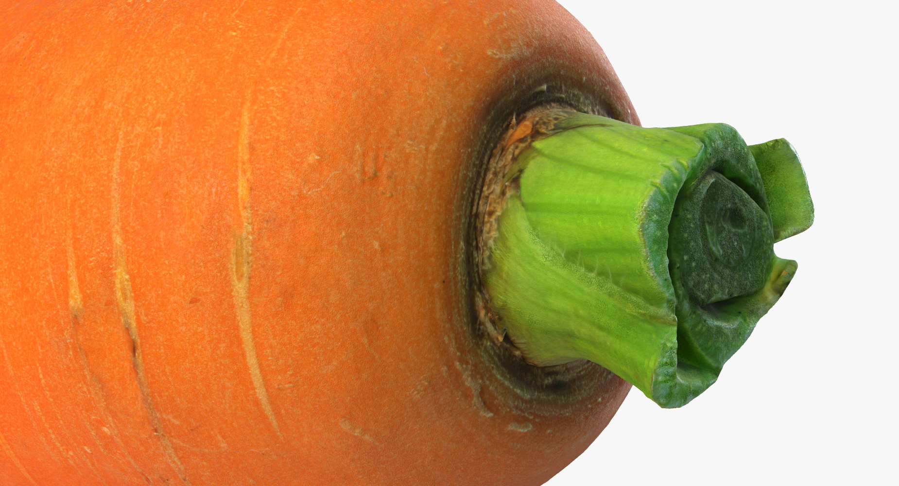 3D Half Carrot