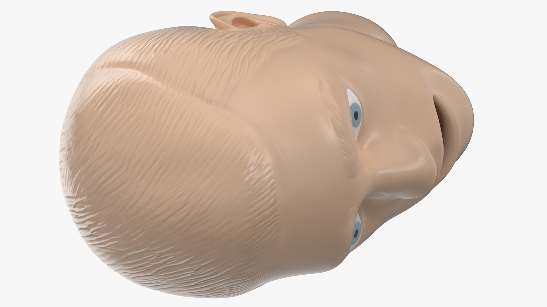 Manikin Head 3D