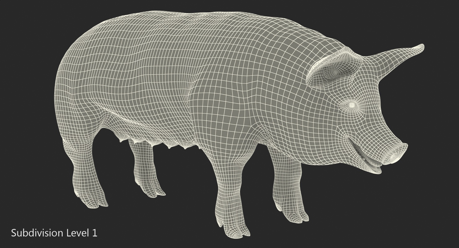 3D Pig Sow Landrace Rigged model
