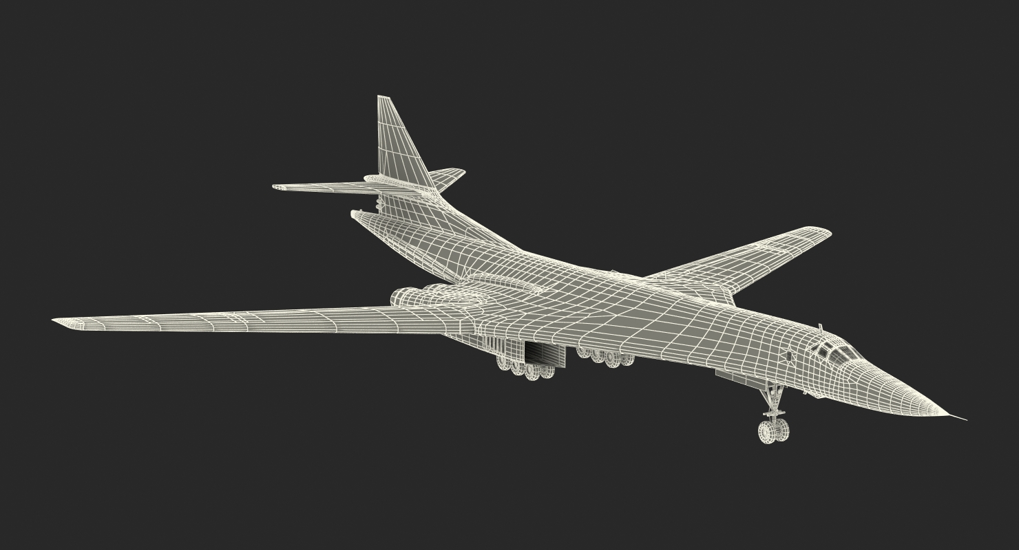 3D Strategic Bomber Tupolev Tu 160 Blackjack Rigged model