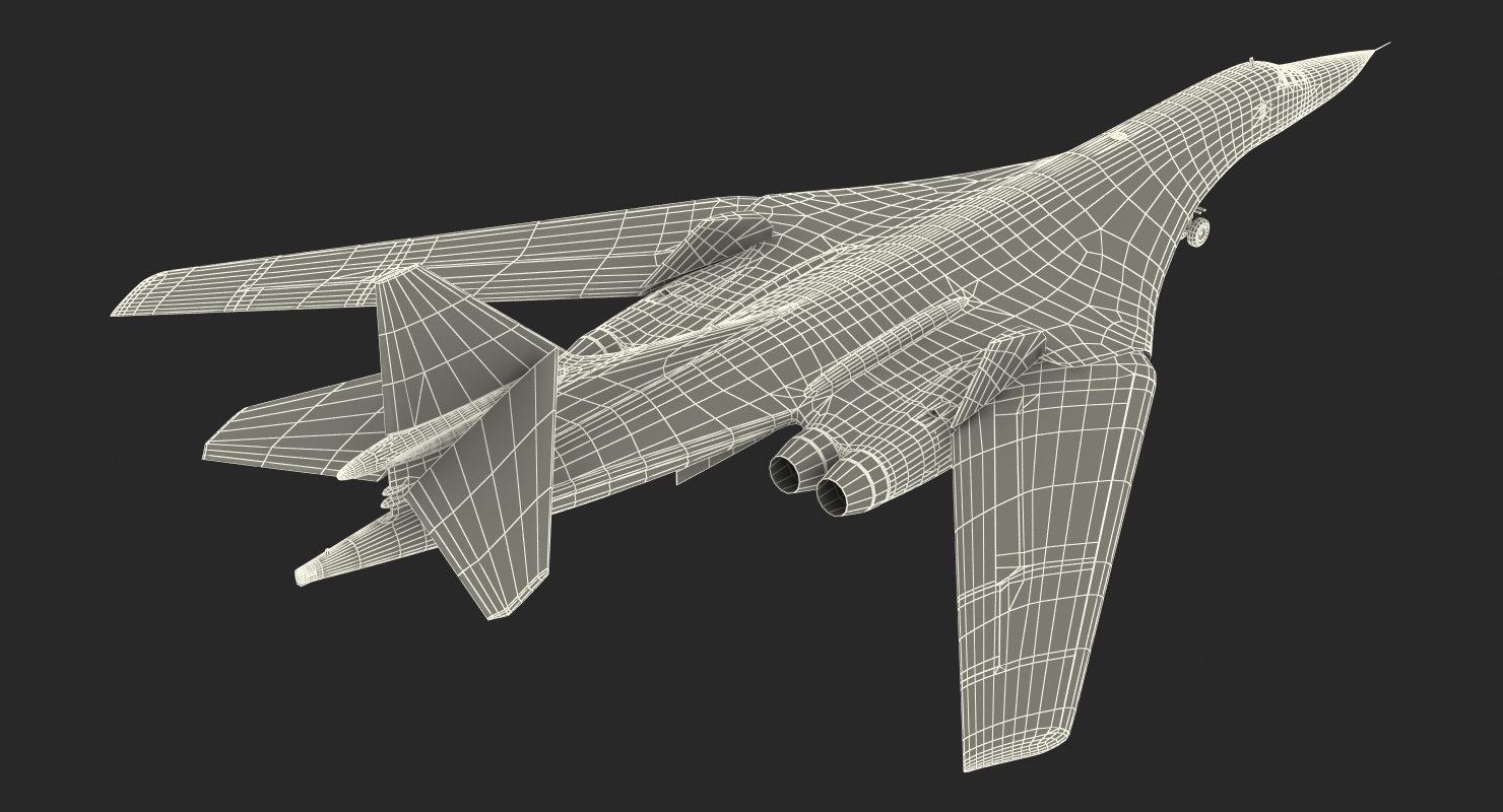 3D Strategic Bomber Tupolev Tu 160 Blackjack Rigged model