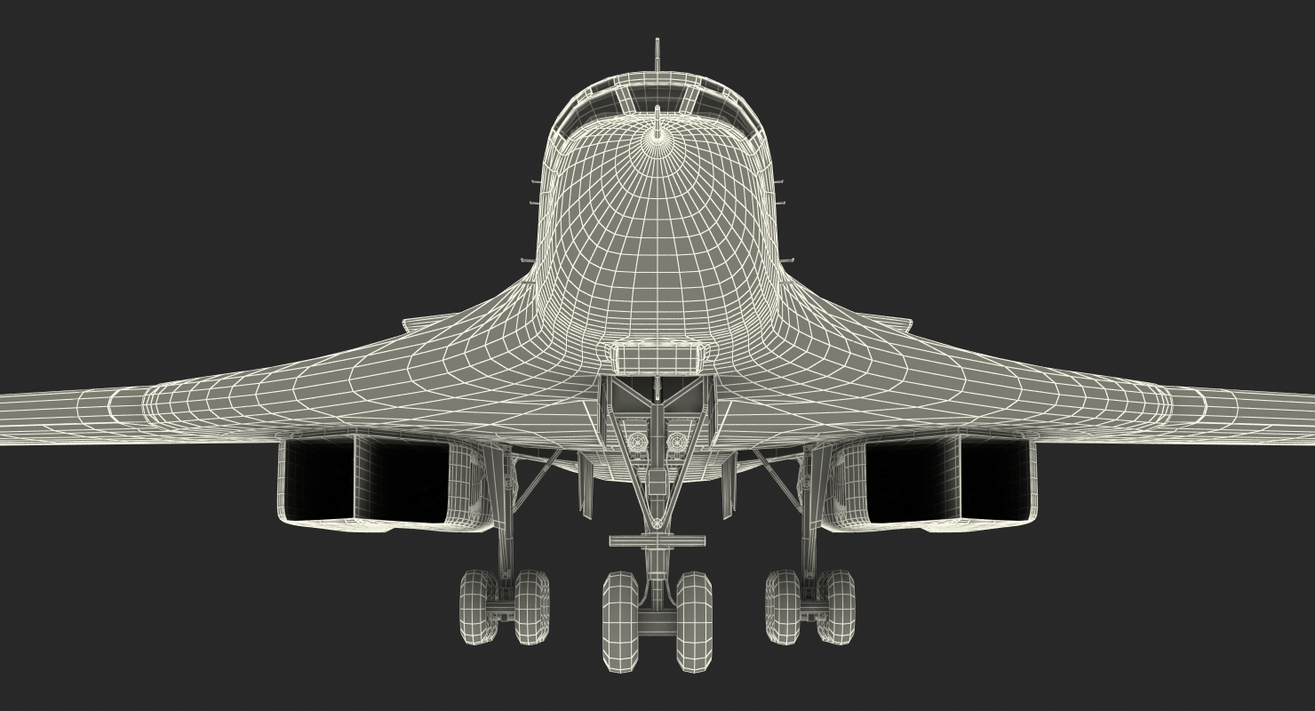 3D Strategic Bomber Tupolev Tu 160 Blackjack Rigged model