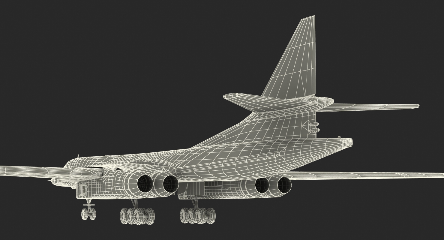 3D Strategic Bomber Tupolev Tu 160 Blackjack Rigged model