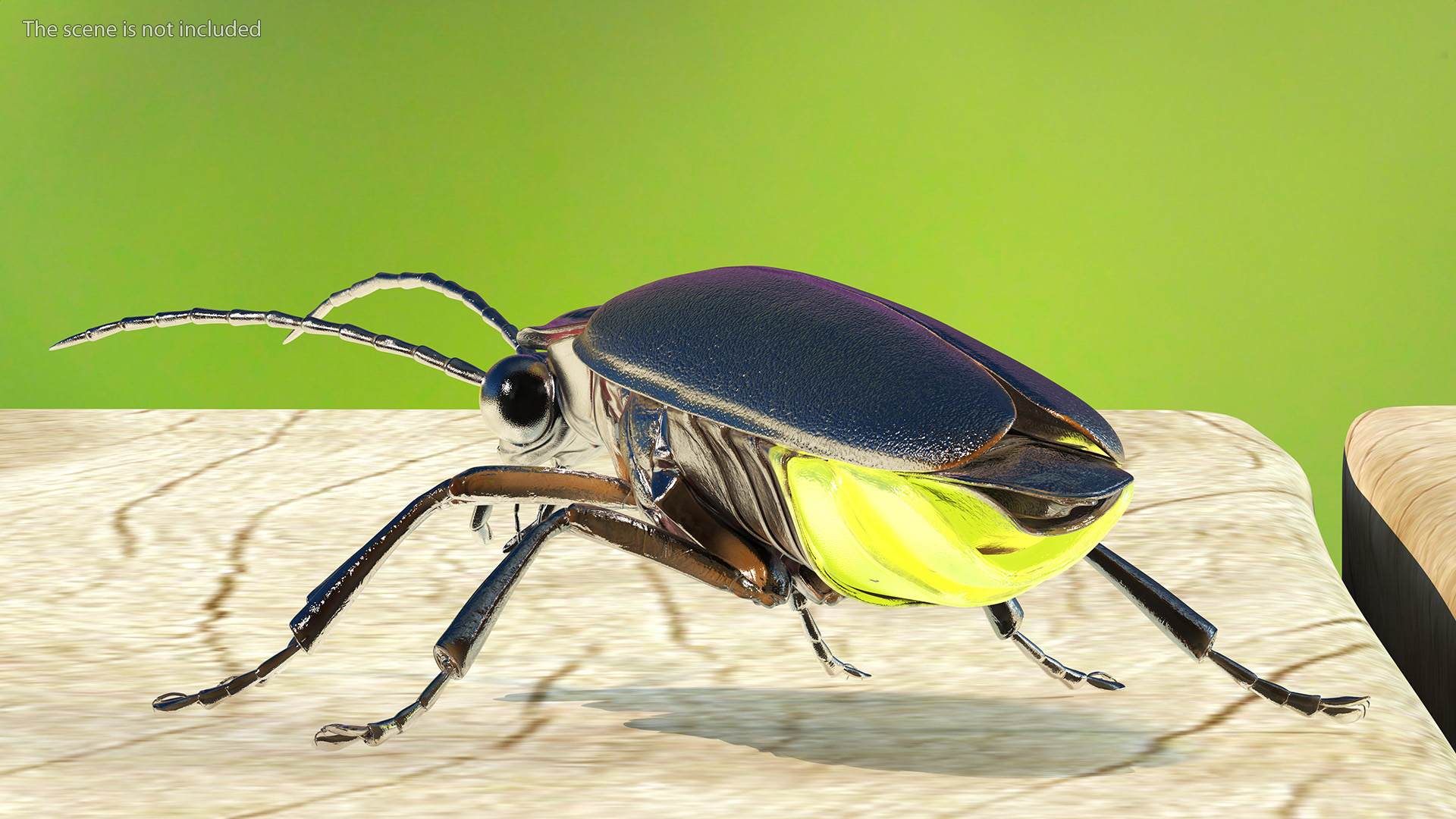 3D Photinus Pyralis Glowing Crawling Pose model