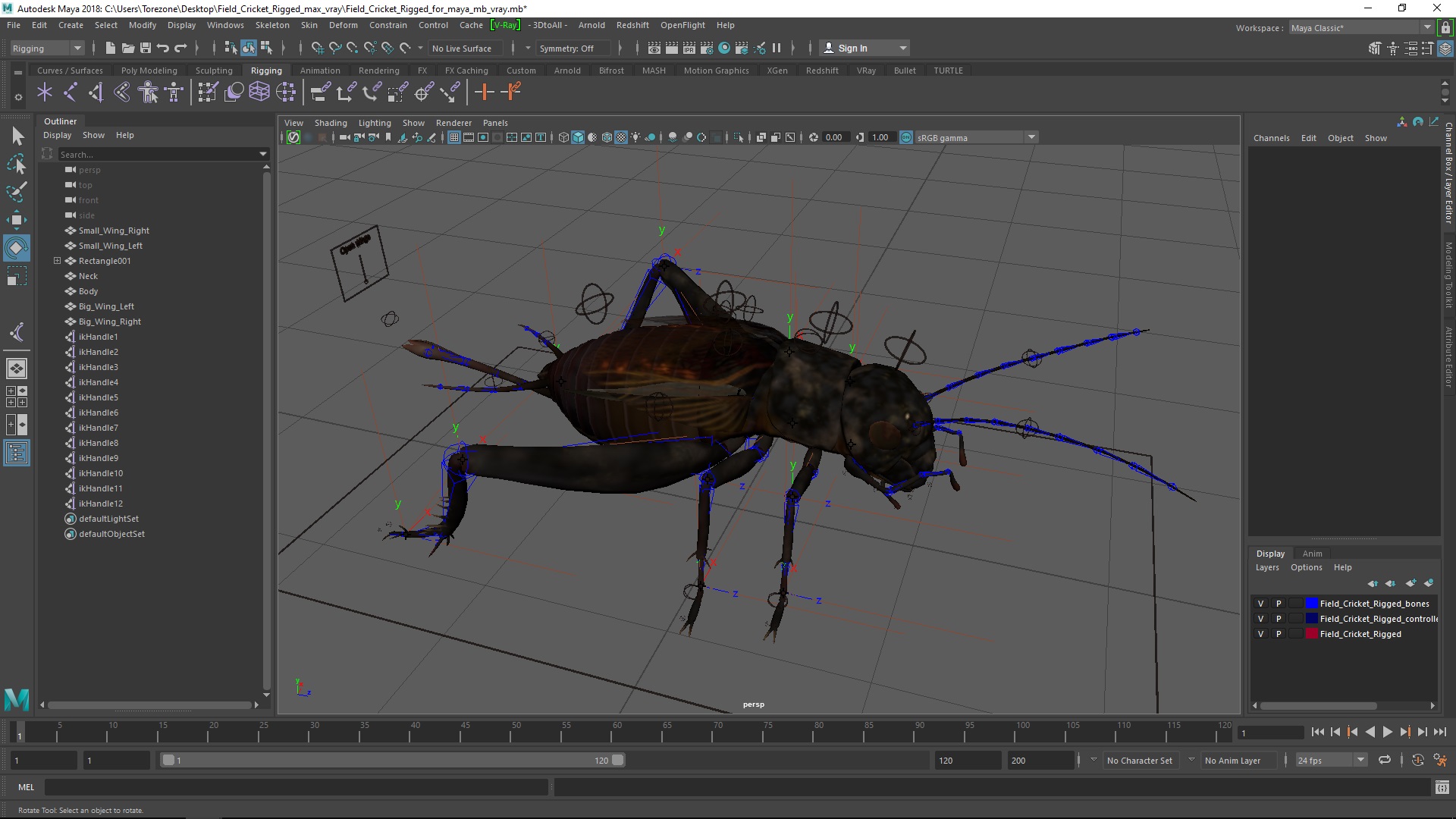 Field Cricket Rigged for Maya 3D model